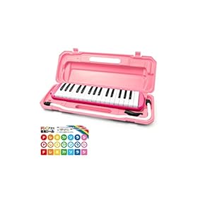 鍵盤楽器 RJ イタリアのビンテージ鍵盤ハーモニカChordiana、レアなパイプ型